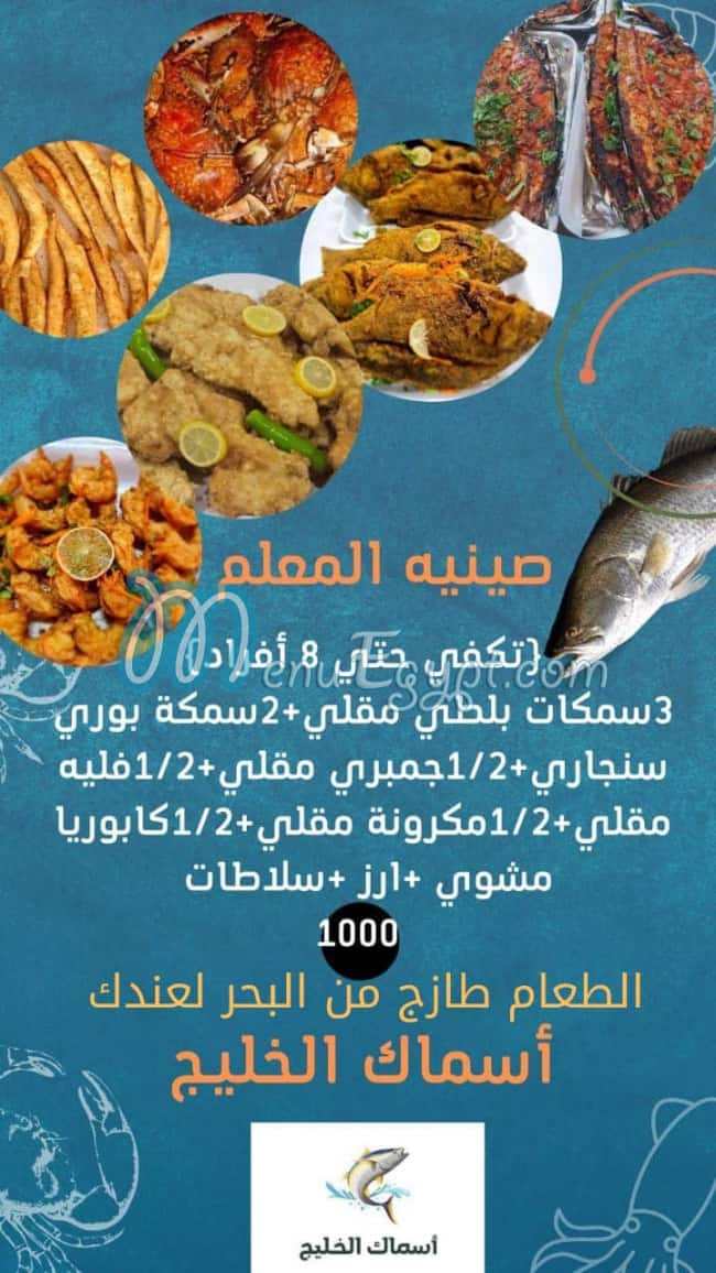 أسماك الخليج مصر الخط الساخن