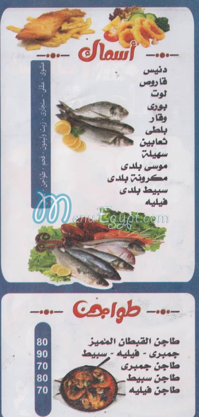 اسماك القبطان مصر الخط الساخن