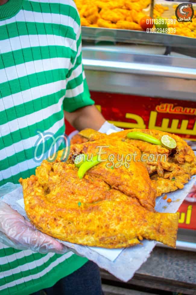 اسماك الساحل مصر