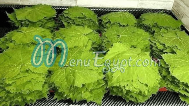 اسواق المحمود مصر الخط الساخن