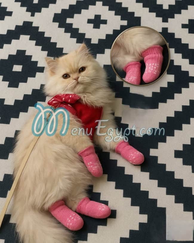 منيو أيمن بيتس استور مصر 1