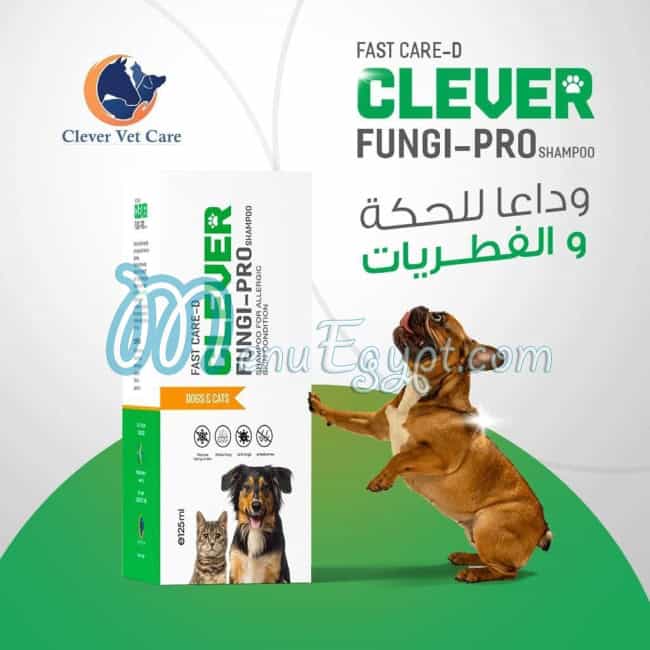 بلو بيتس كلوب مصر منيو بالعربى