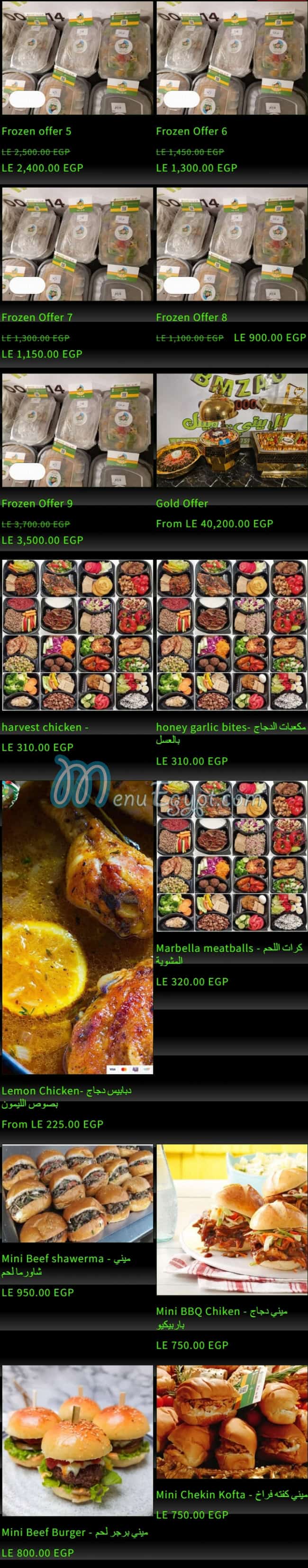 Bmzag menu Egypt