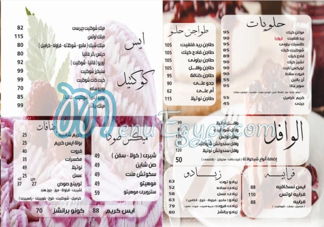 مطعم برانشز اورينتال فود مصر