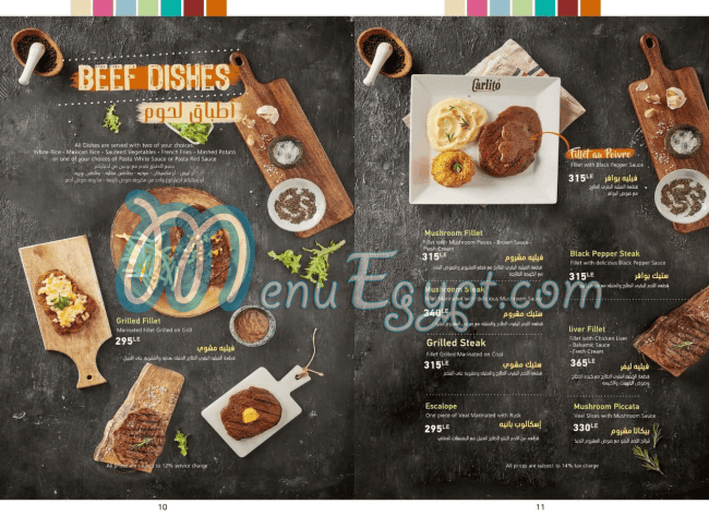 كارليتو مصر الخط الساخن