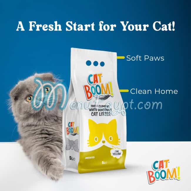 منيو كات بووم مصر