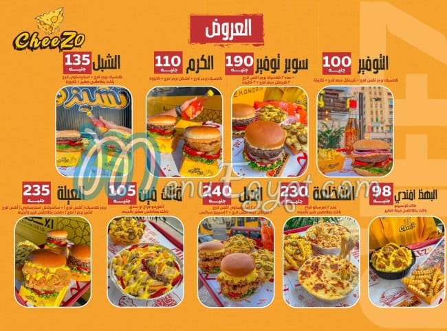 تشيزو مصر الخط الساخن