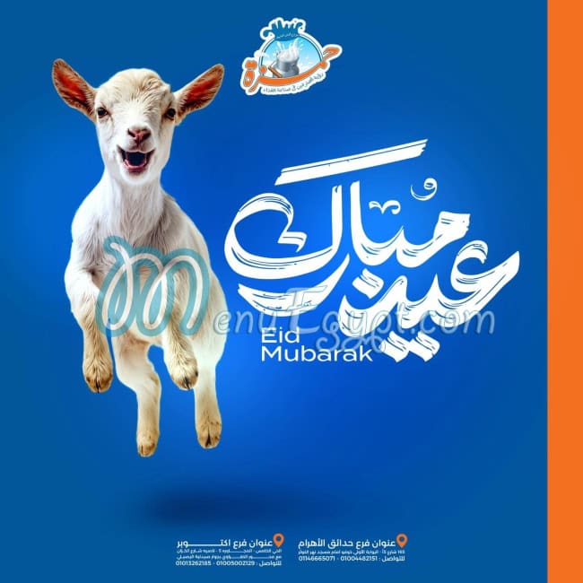Chef Hamza Dairy Farms egypt