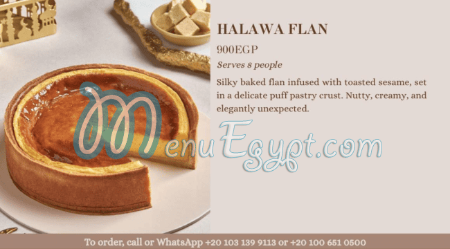 تشوتشو مصر الخط الساخن