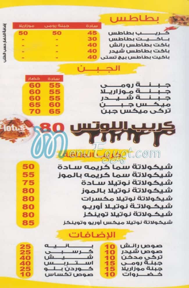 سيتي كريب مصر الخط الساخن