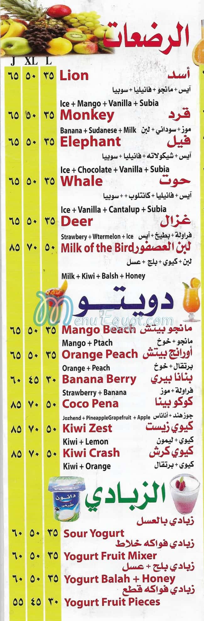 سيتى درينك الهرم مصر