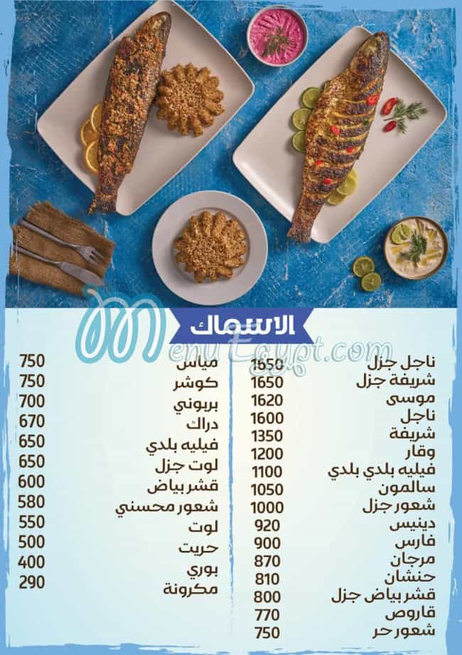 دكتور فيش مصر منيو بالعربى