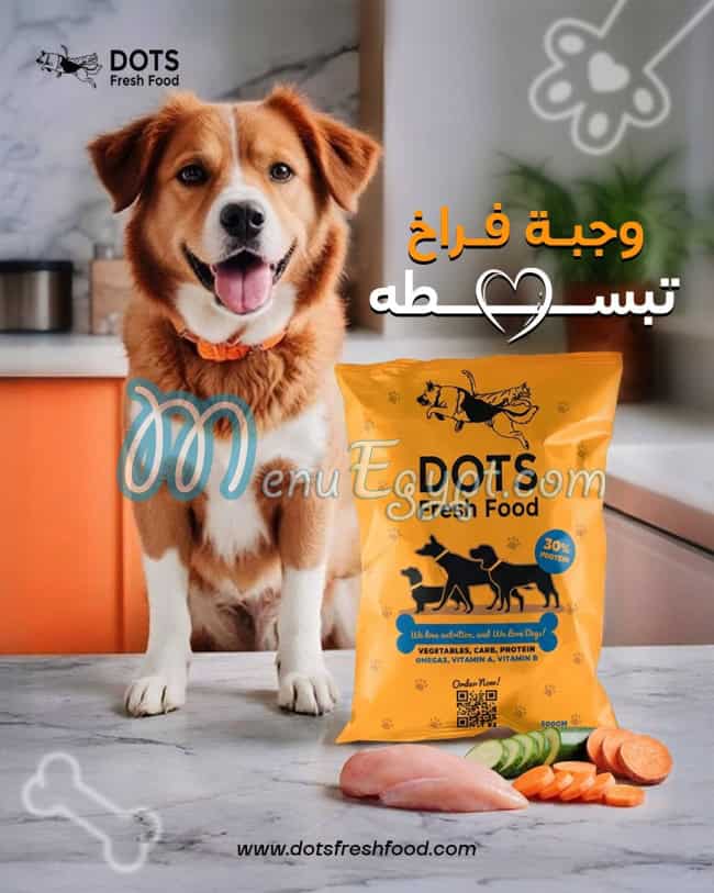 Dots fresh food egypt