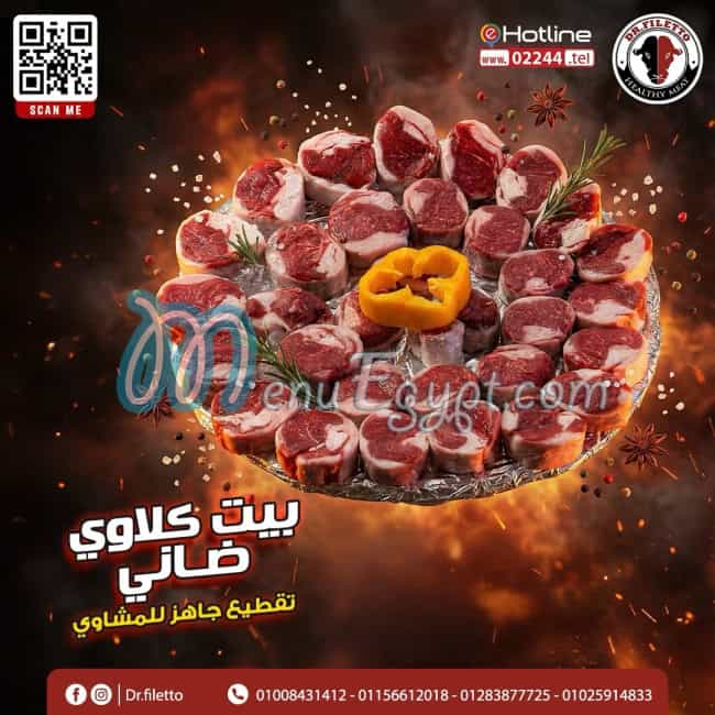 دكتور فلتو مصر