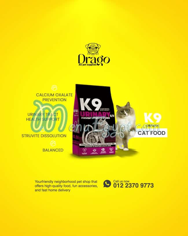 منيو دراجو بيت شوب