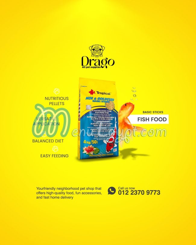 دراجو بيت شوب مصر منيو بالعربى