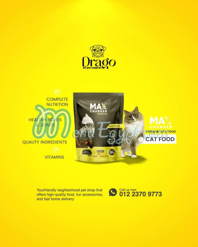 دراجو بيت شوب مصر