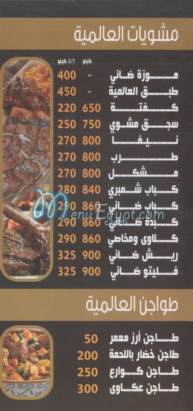 العالميه مصر الخط الساخن