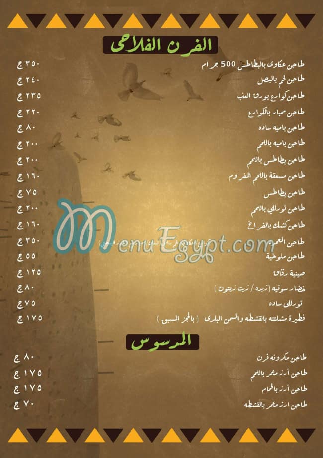 الدوار طنطا مصر الخط الساخن
