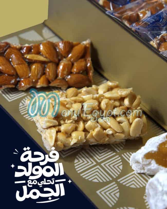 الجمل دمياط مصر الخط الساخن