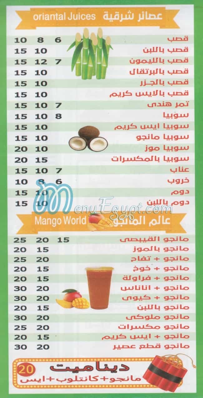 القبيصي نور الإسلام مصر