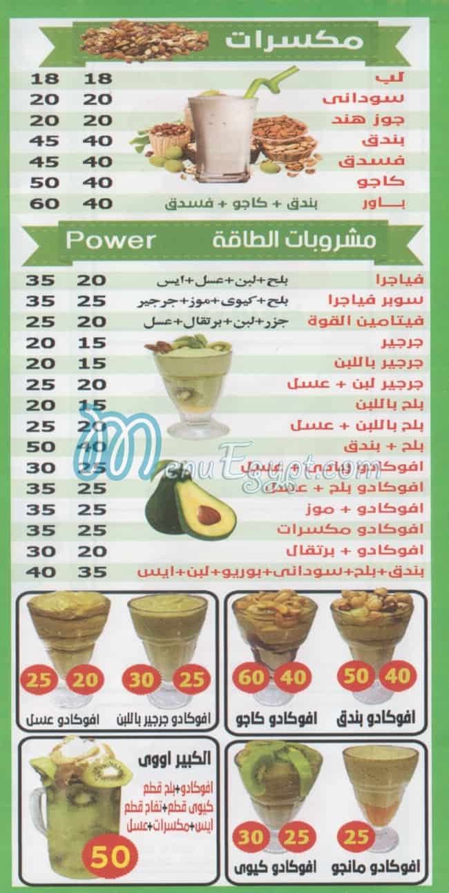 القبيصي نور الإسلام مصر