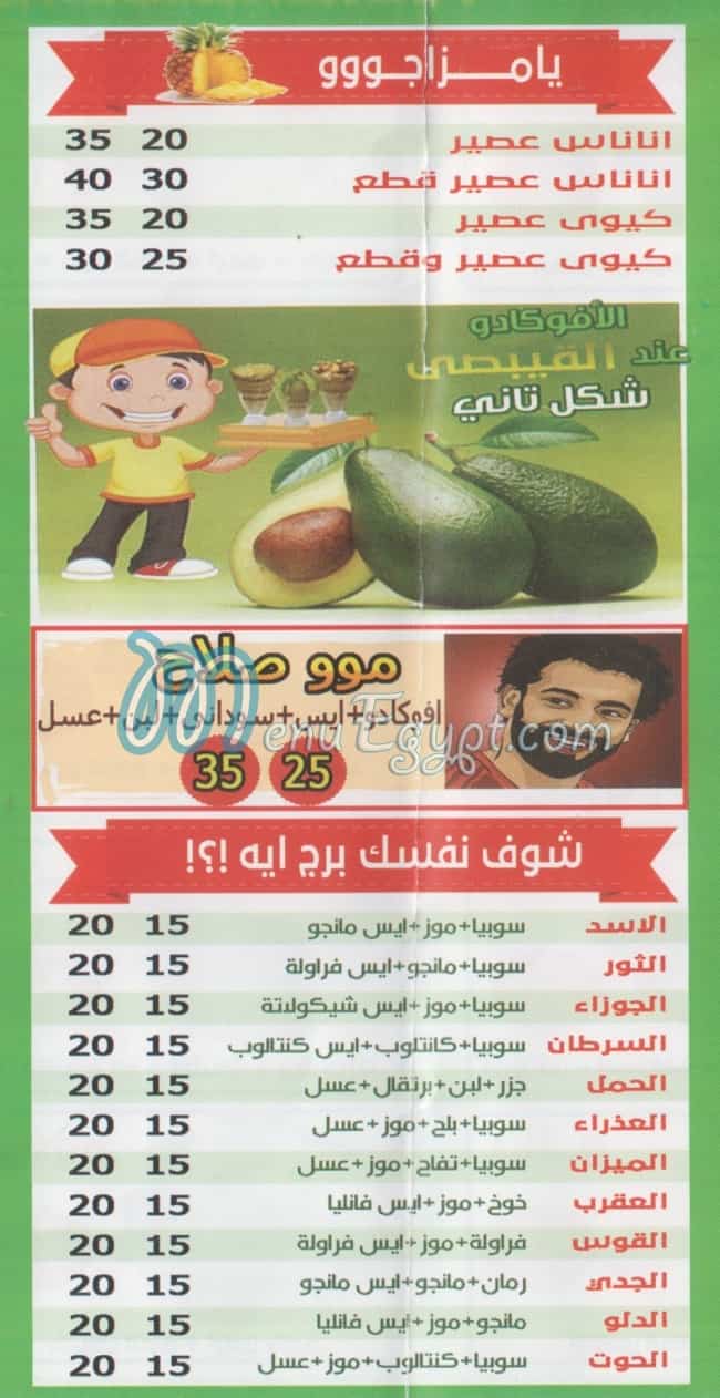 أسعار القبيصي نور الإسلام مصر