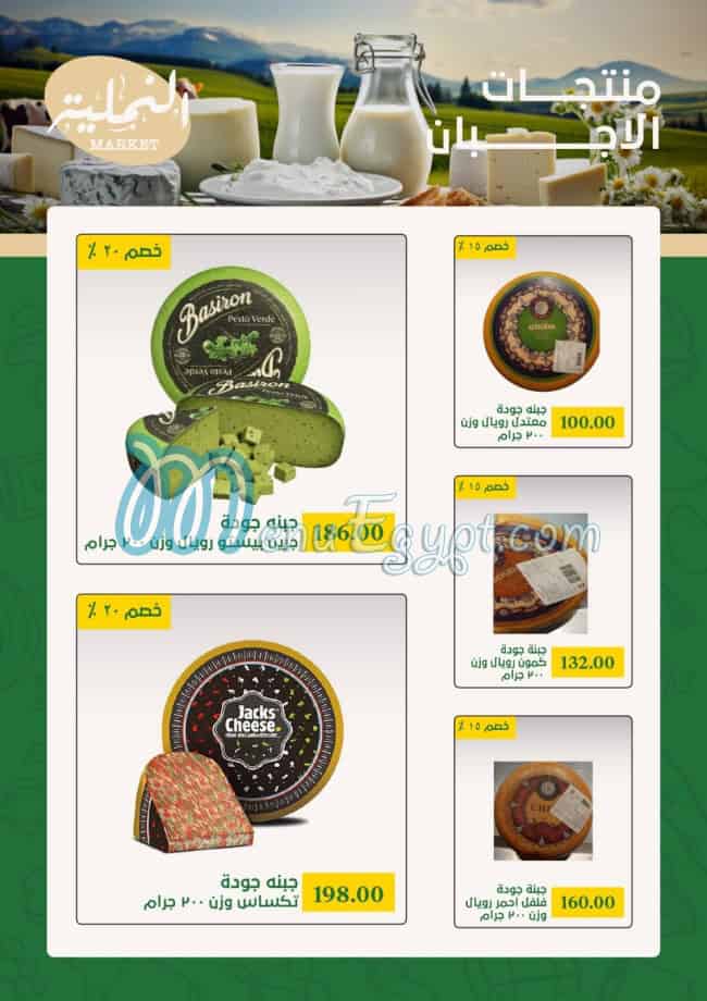 النملية ماركت مصر الخط الساخن