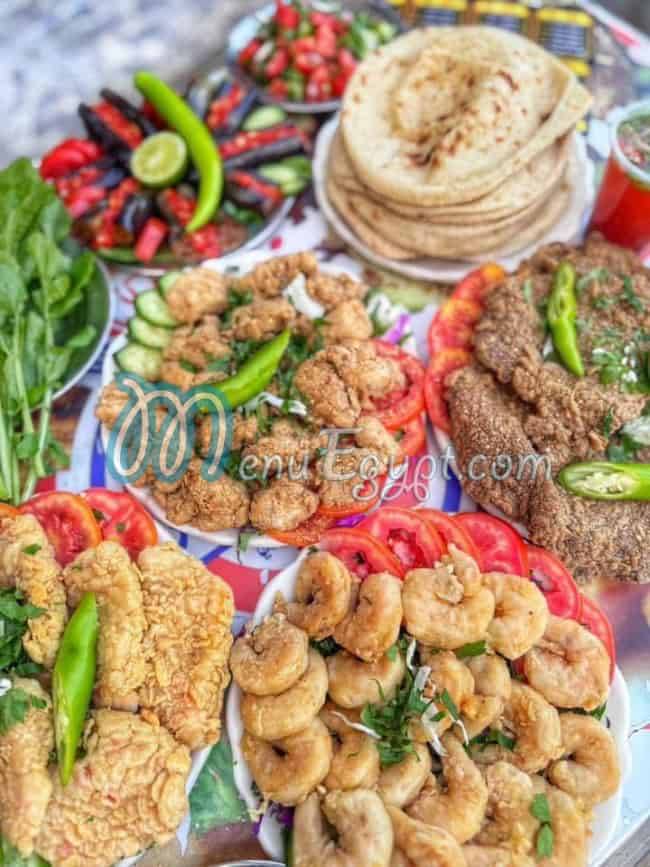 EL Sharkawy Faysal delivery