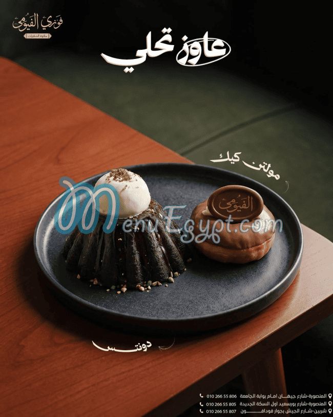 فوزي الفيومي مصر