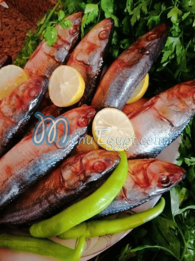 Fasakhany El Rayan egypt