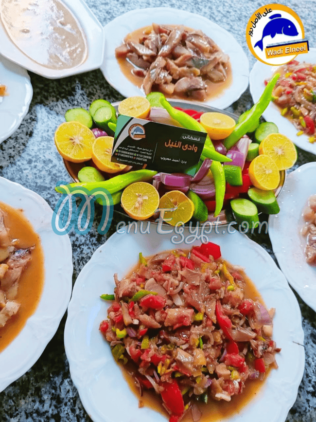 Fasakhany Wady Al Neel Al Qosaiareen delivery