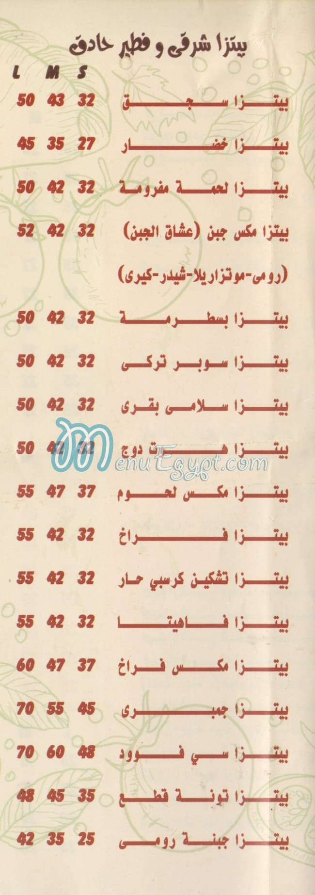 فاست فوود  زنجر مصر الخط الساخن