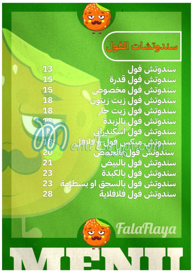 أسعار فلافلايه مصر