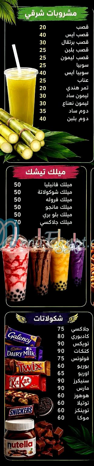 Frish  Farghaly Sheratoon egypt