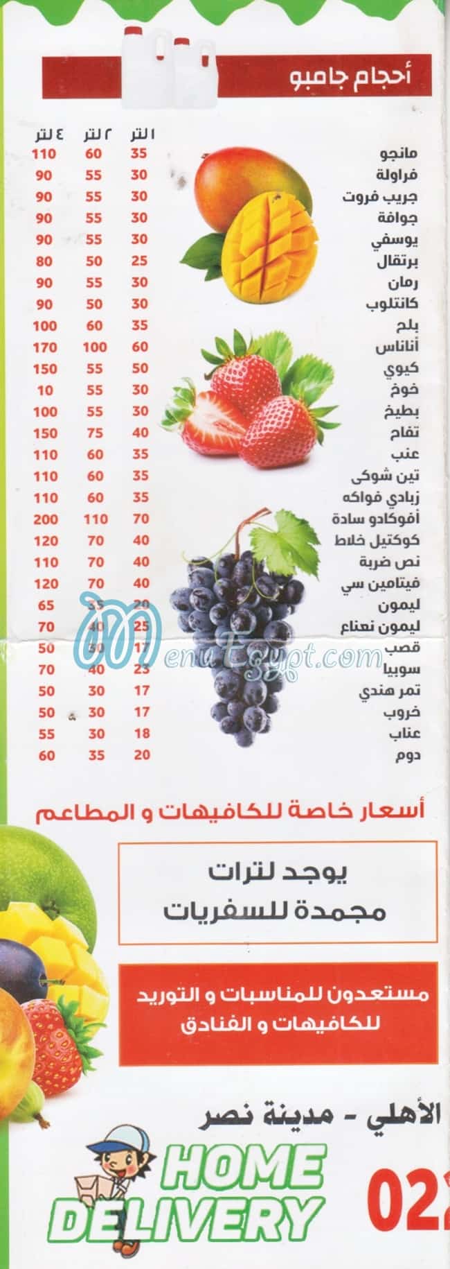 منيو فروت العائلات مصر