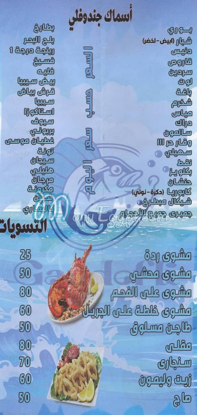 منيو جندوفلي  مدينتي