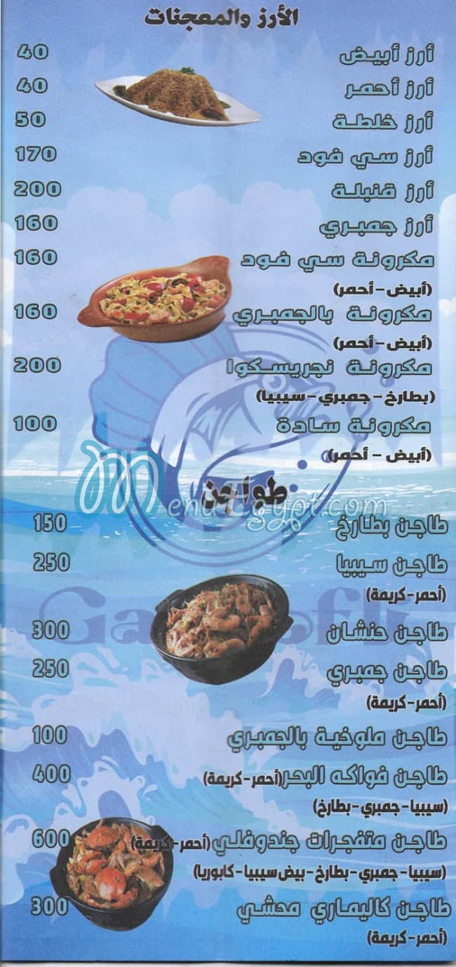 جندوفلي  مدينتي مصر منيو بالعربى