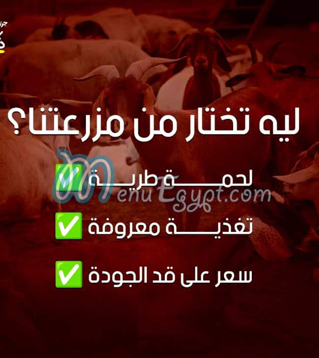منيو جزارة ابو ذكري