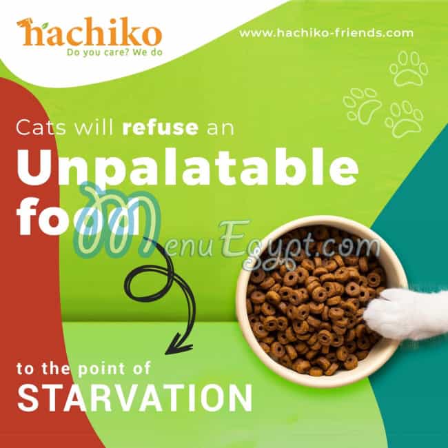 Hachiko Friends delivery menu