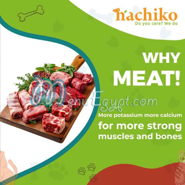 Hachiko Friends menu prices