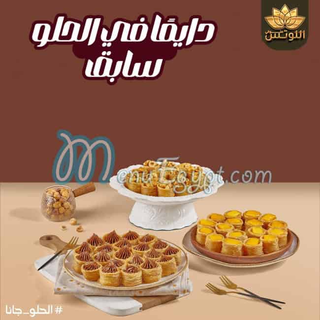 حلواني اللوتس مصر الخط الساخن