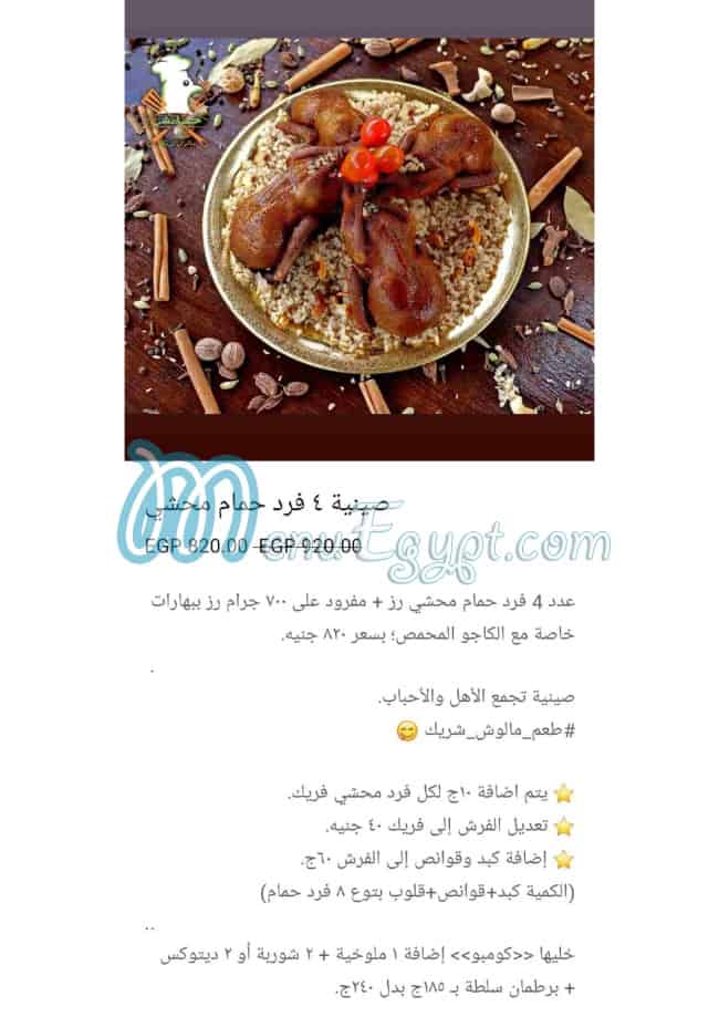 حمامشي مصر الخط الساخن