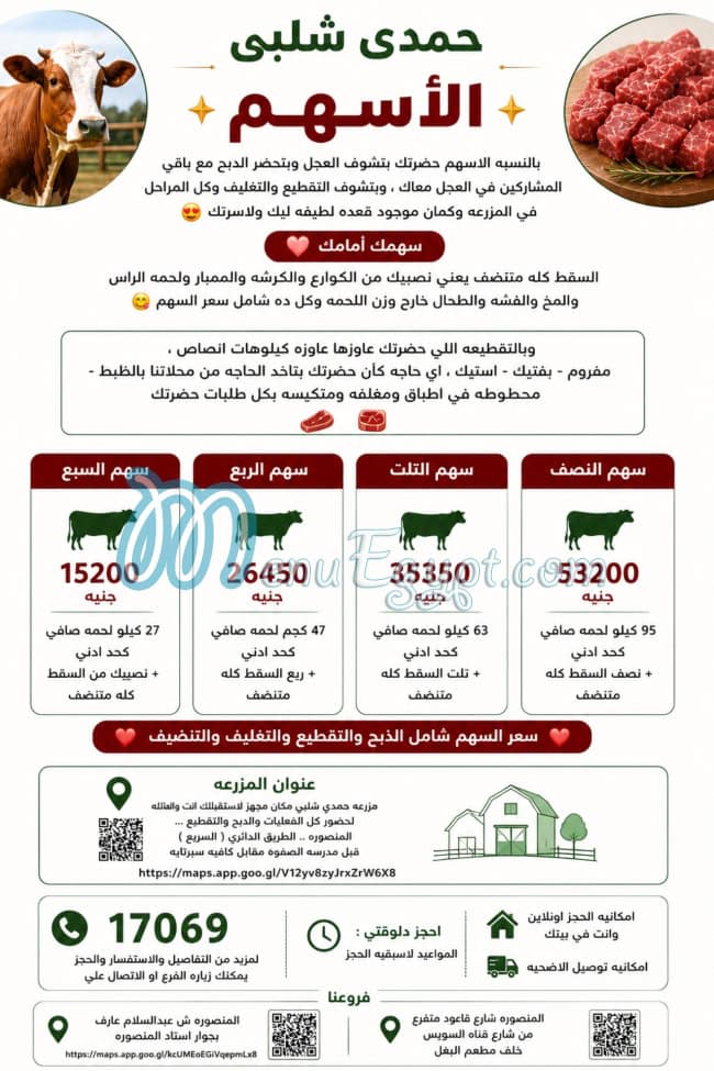 حمدي شلبي مصر الخط الساخن