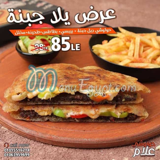 حواوشي علام مصر