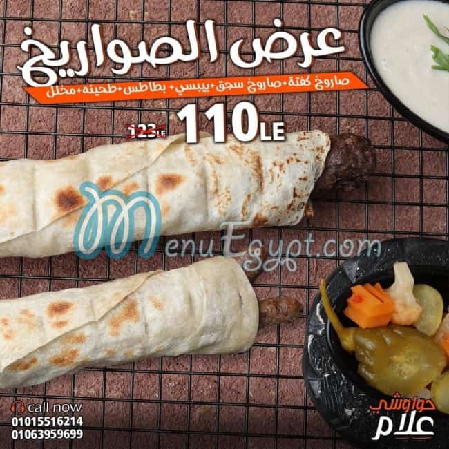 حواوشي علام مصر