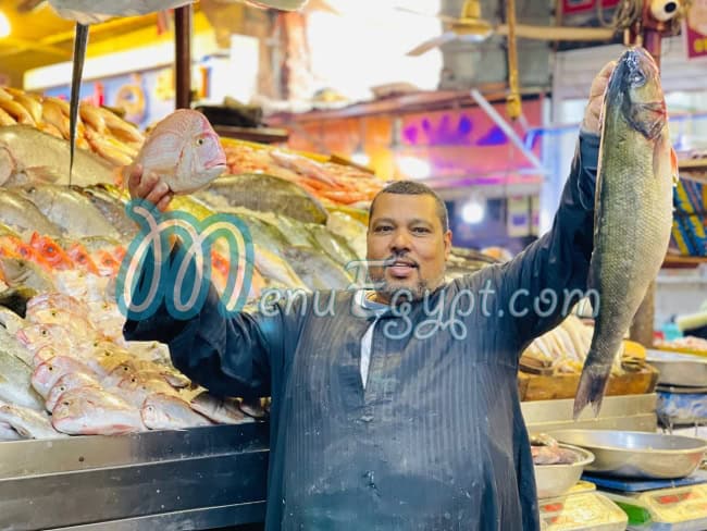 أسعار اسماك المدينة المنورة - اسماك سلطان مصر