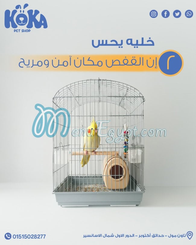 Koka Pet Shop delivery menu