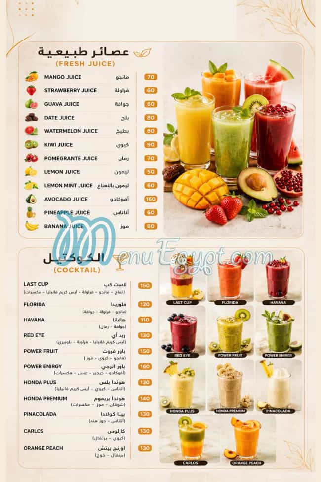 رقم لاست كب مصر