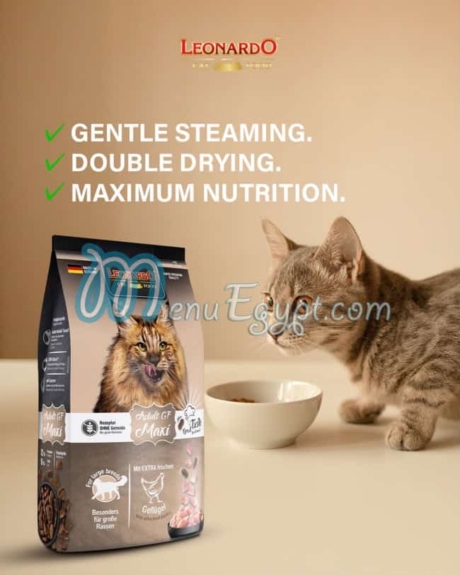 Leonardo Egypt menu Egypt